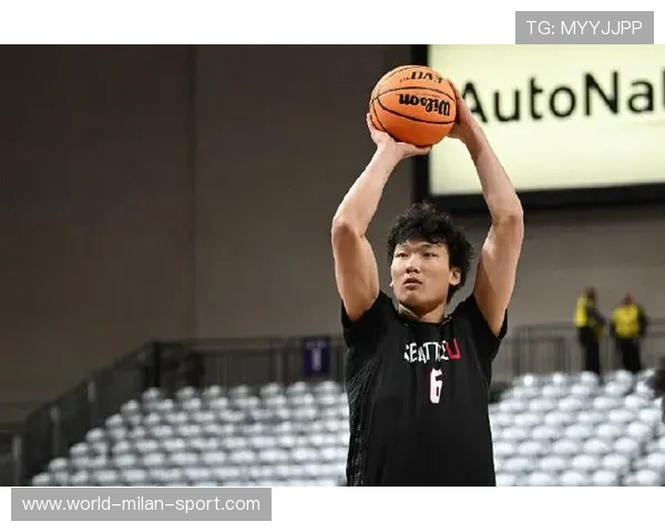 篮球精神中国球员的坚持与拼搏，篮球精神文化